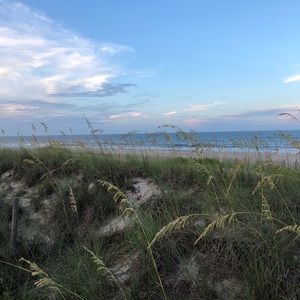 Meet your Posher, Clare